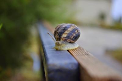 Прикрепленное изображение: _DSC6342.JPG